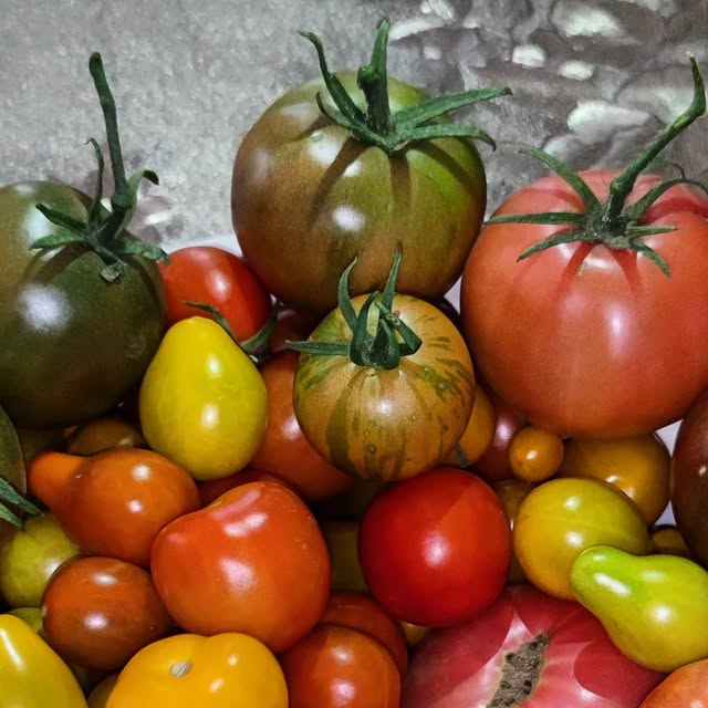 Miniatura de la publicación de Instagram: El regreso del sabor del tomate