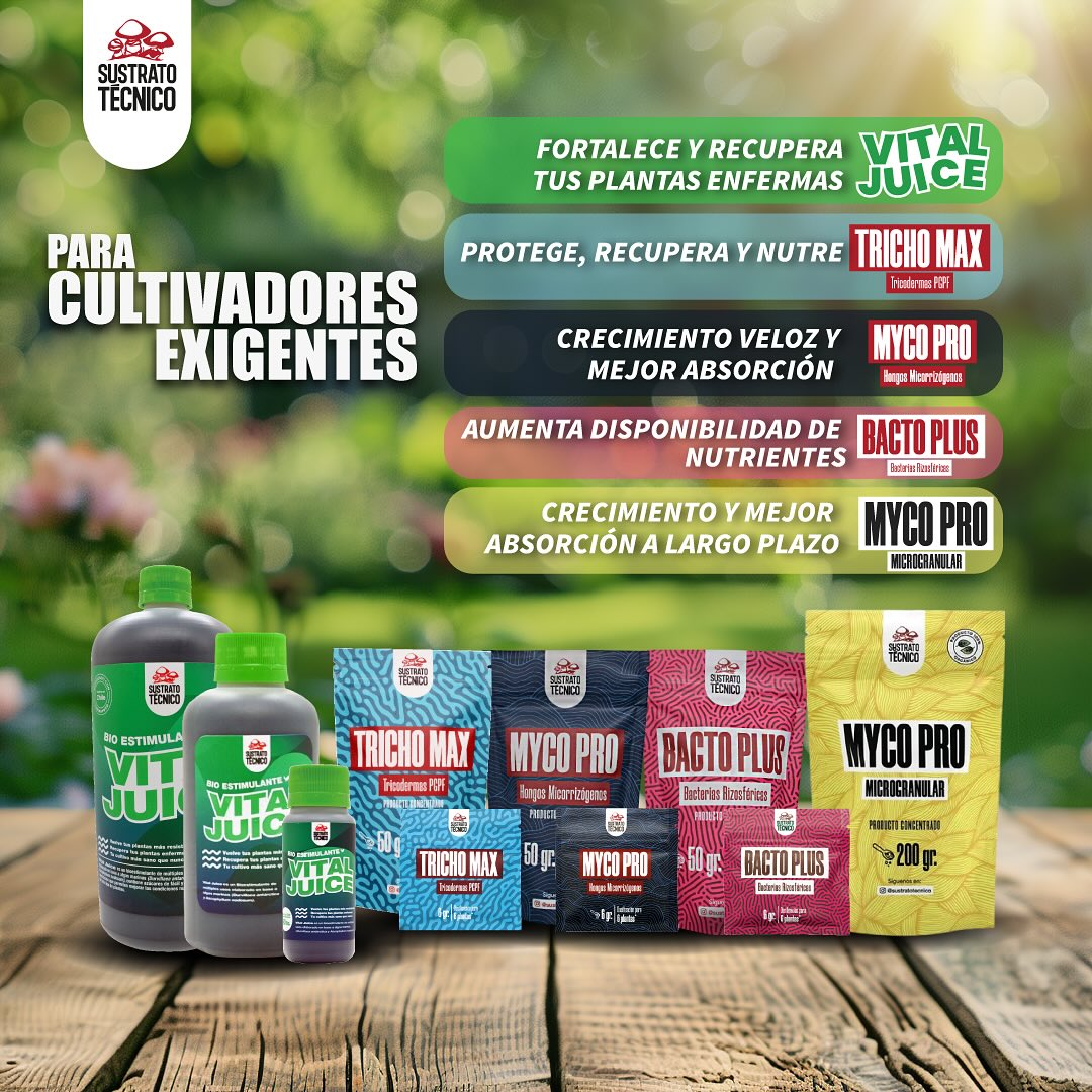 Miniatura de la publicación de Instagram: Microorganismos nativos para cultivadores exigentes